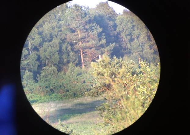 To continue the run of poor photos, I tried to use my phone camera and a telescope - And failed!